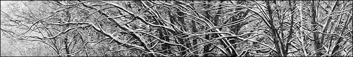 firstwinterdusting firstwinterdusting