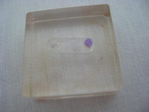 img_0281 img_0281
