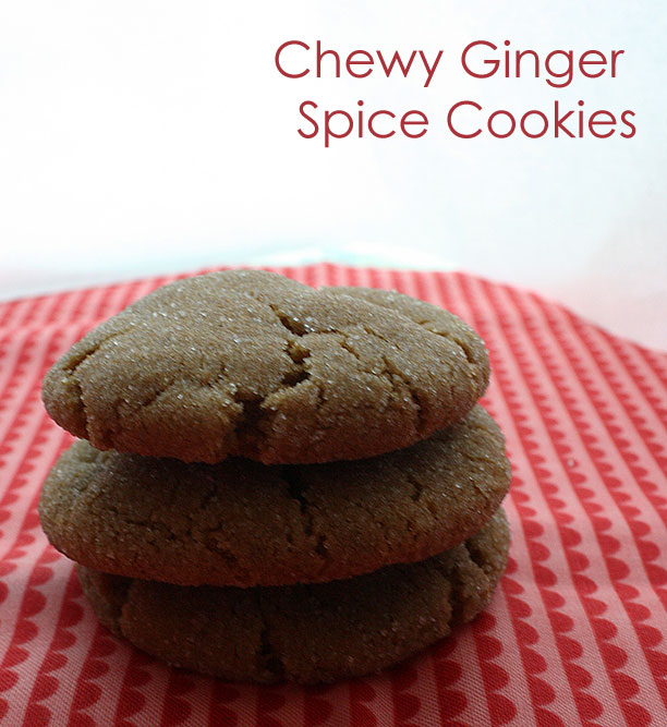 ChewygingerCookie